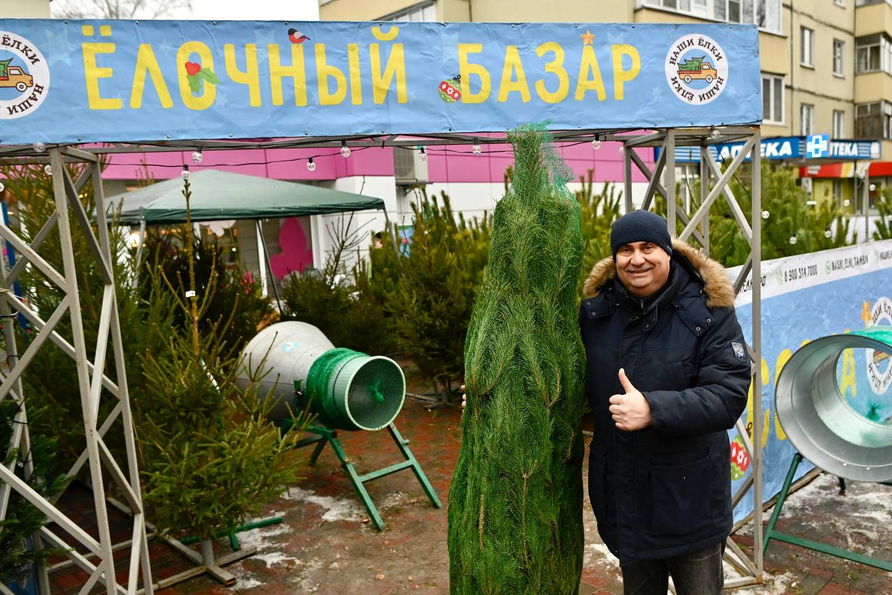 Что почём: репортаж «ТЖ» с ёлочных базаров Тамбова