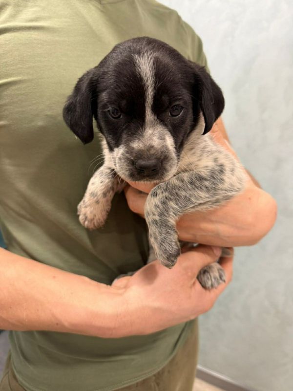 ���� �����: ����� ���� ���