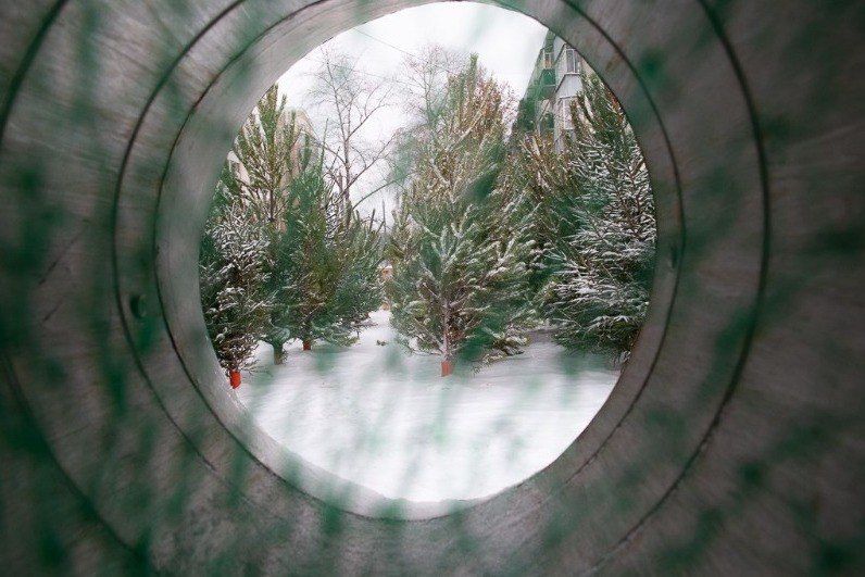 ��� ������� ������������ ���������� ����: ������ ����������� �� ����������������