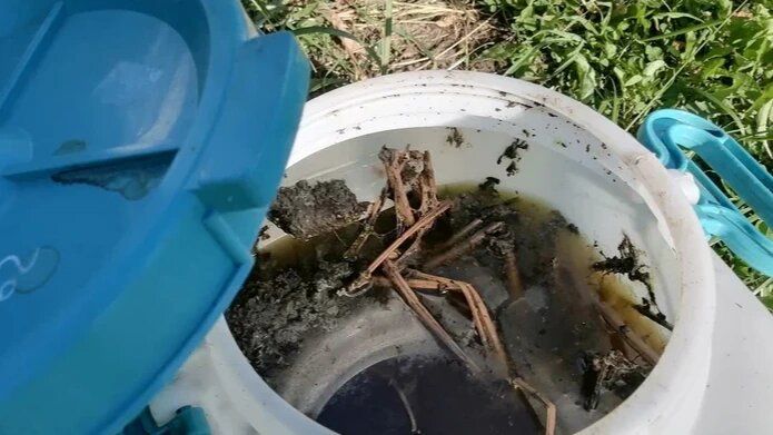 �������� ���������: ��� �� ��� ��� ������� ����������� �������� ��� ������ �������