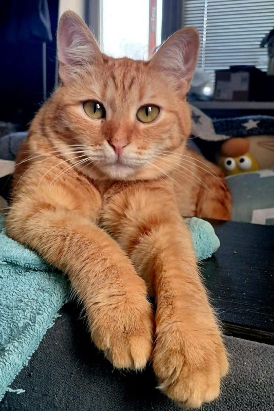 ���� �����: ����� ���� ���