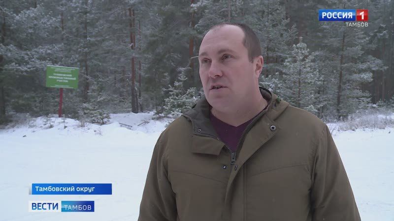 �� ���������� ���� �������� ��� ������ �������, � ��� ���� � ����� ����� ������� �������� �������