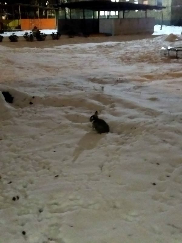 �� ������ ������� � ����� ������ ������������ ������������� �������