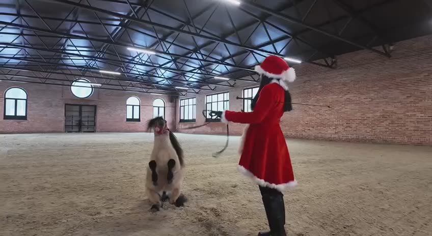 ������ ����� ���������� ������� ������������ ������ ���������� ��������� (0+)