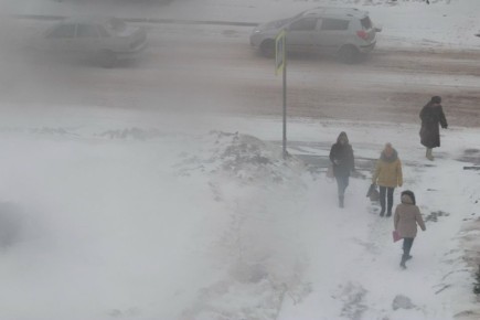 Синоптики обещают метель и снежные заносы в Тамбовской области