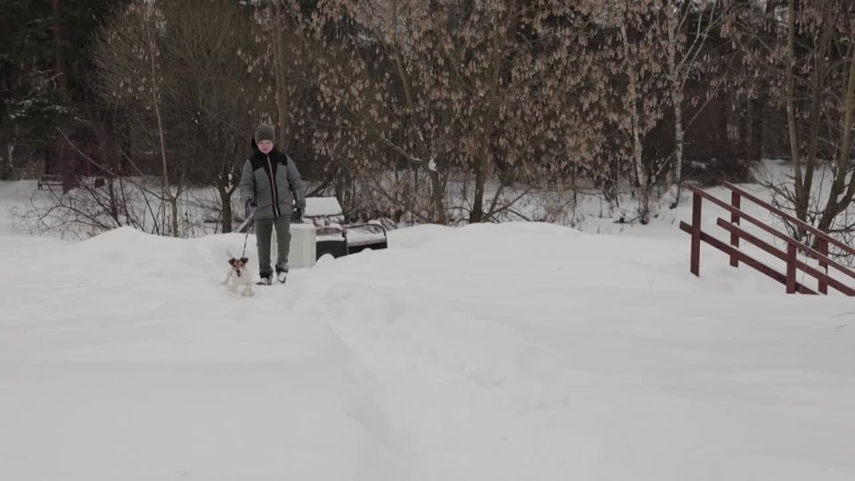 ������� ������� ��������� �������� �����