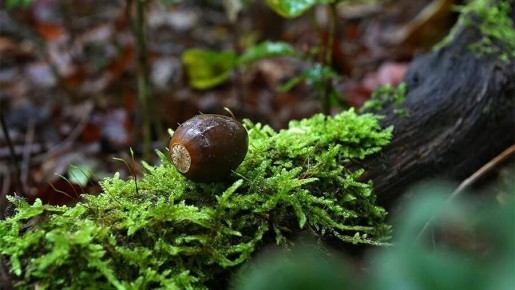 ������: ������� ����������� ��������, ������� ����� ������