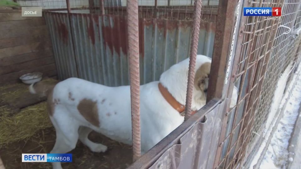 ����� �� ����� ��� ��� �����������? ������ �������� ����� ��� �������� ������������ ���� ������ ���������� ������ ������