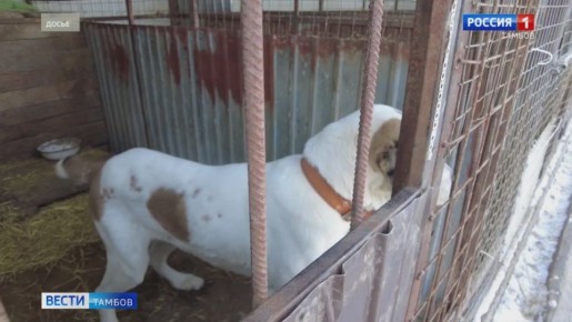 ����� �� ����� ��� ��� �����������? ������ �������� ����� ��� �������� ������������ ���� ������ ���������� ������ ������