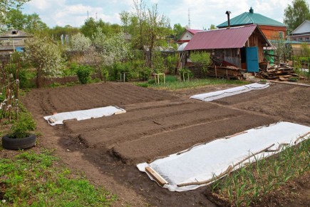 ��� ����� ����� � 307-��: ��� ���� �� �������� ��������� �������� � ��������� �����������