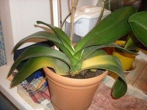 ���������� ������� �������: ��������� ������� � ������� ������� ��������