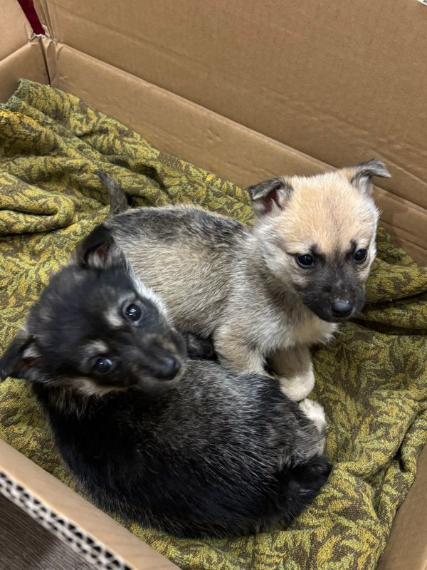 ���� �����: ����� ���� ���