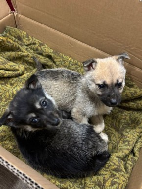 ���� �����: ����� ���� ���