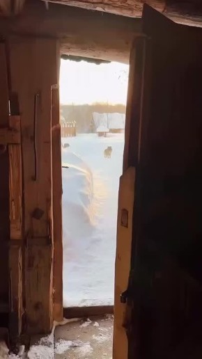 ������ �������� ���������. ��������� �������� ���� � ������� ������, �������� ���� ���� ��������