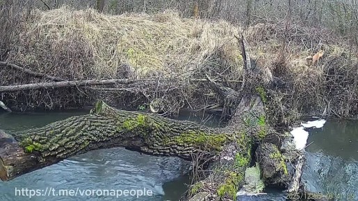 ��� �� ������ ������ ��� ������, ��� ������ ������� �����