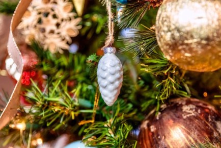 Эксперты рассказали о трендовом украшении новогодней ёлки-2026