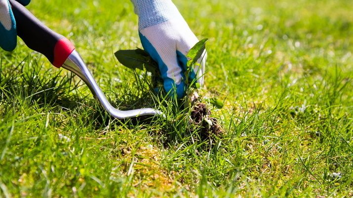 ��� ����� ������ ���� �������� ��� ������ ����� ��������: �������� �������� ���������� ����������