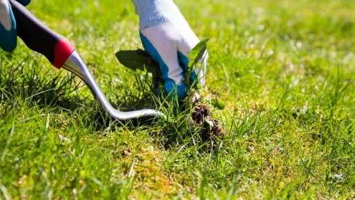 ��� ����� ������ ���� �������� ��� ������ ����� ��������: �������� �������� ���������� ����������