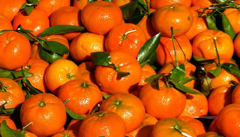 Роспотребнадзор напомнил тамбовчанам правила выбора мандаринов