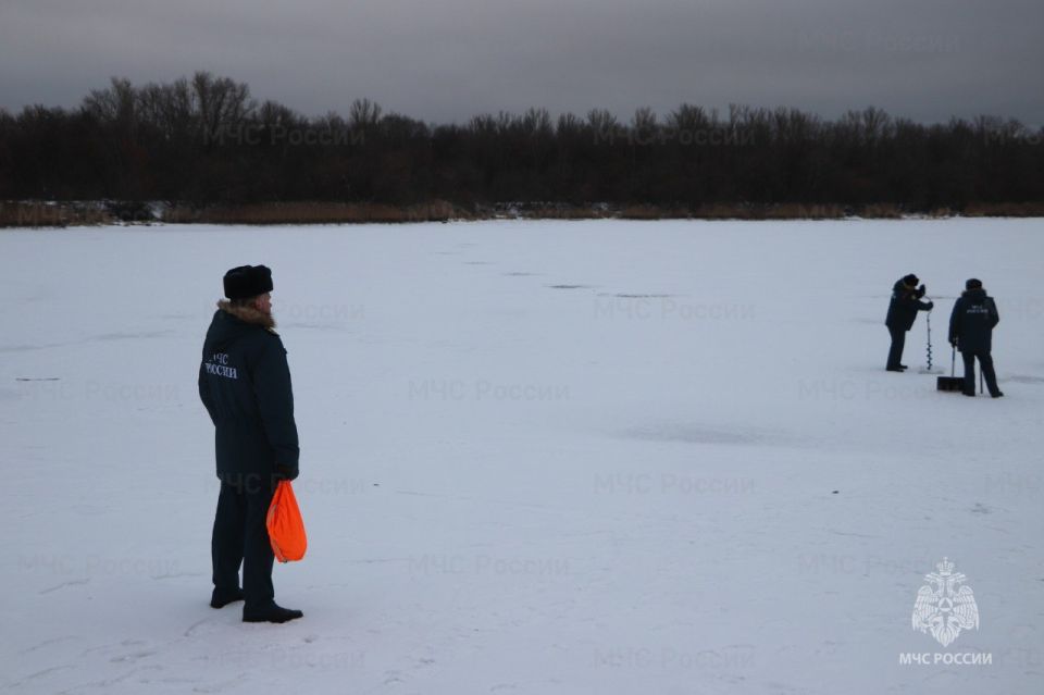 ������� ���� �� �������� ����������� � ���������� 8-10 �����������