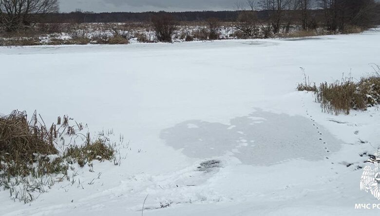 � ���� ������ ���������� ������� ������ 66-������ �������