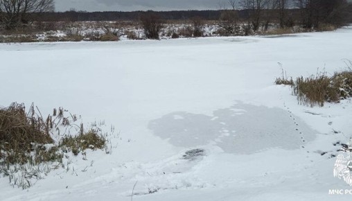 � ���� ������ ���������� ������� ������ 66-������ �������