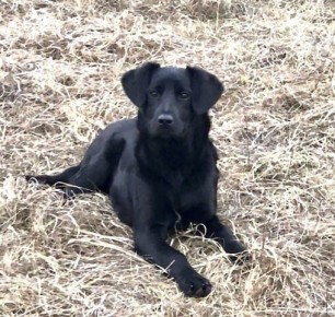 ���� �����: ����� ���� ���