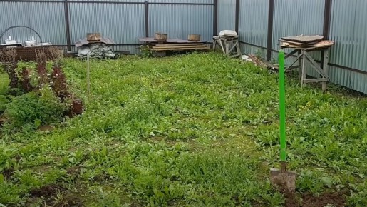 ��� ��������� �������� �������� ����� ������ � ������ � ���������