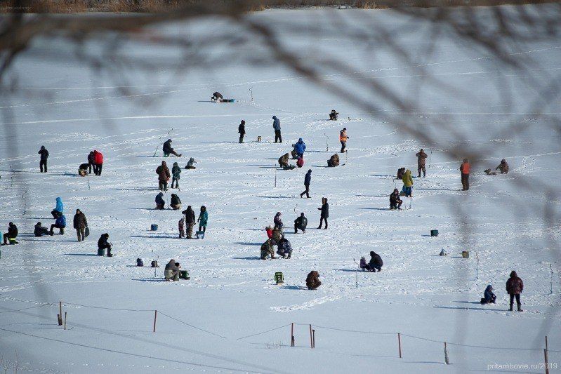 ��� �������� �������� ������� � ������� ���������� �� ����� ���� �� ��������