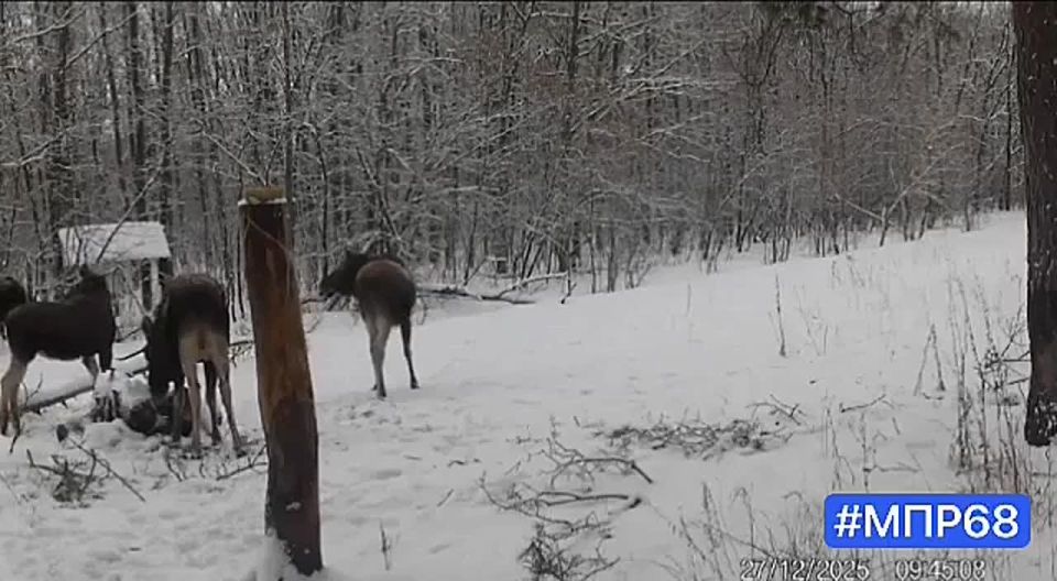 ���� � ����� ������ ����������� ������