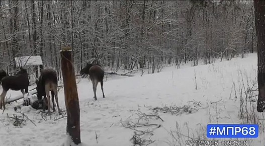 ���� � ����� ������ ����������� ������