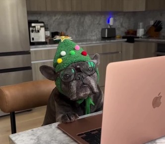 ��������� ����������� ����