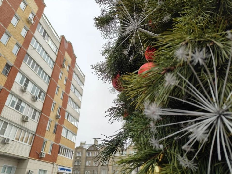 ������ ����, ������!. ��������� ��������� ������� ���� ����� ����