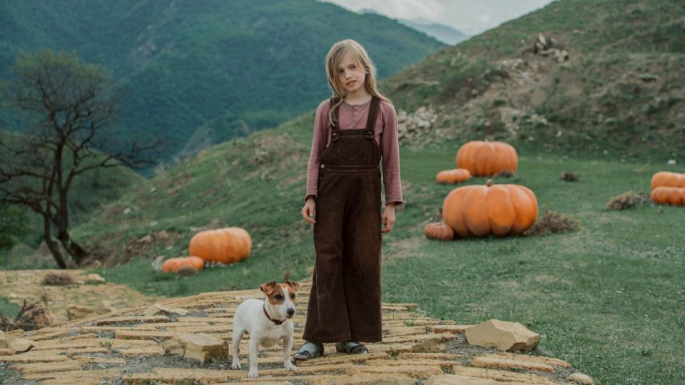 ���������� ����������� ������. ������ �� ������� ������� (6+) ���� ����� �������� ������� 2025 ����