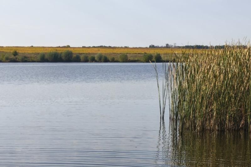 � ���������� ������ ������������� ������ ����� ������ �������� �����