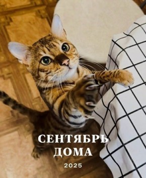 ���� �����: ������ ���. ��������� ��� ������ ������