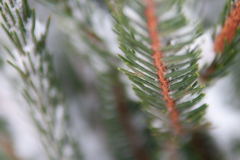 � ������� ������� ����� ����� ���������� ���� �� �����������