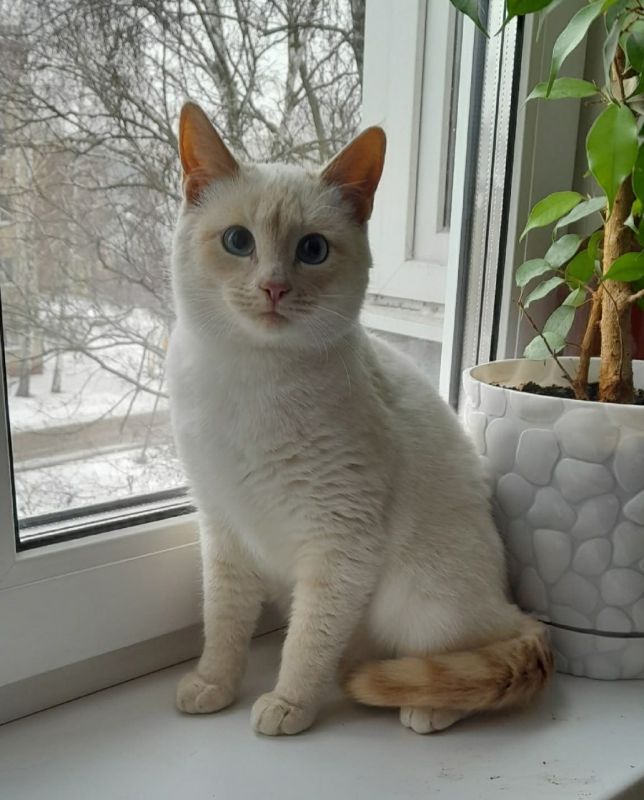 ���� �����: ��� ����� ���� ���