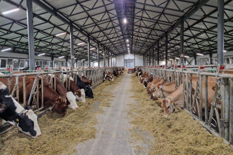 � ���������� ������� �������� ������������ ���� � ������ � 2027 ����