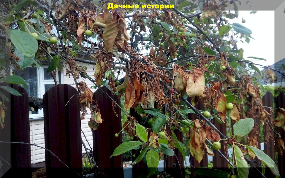 ��� �������� ����� �� ��������� � �������� ����