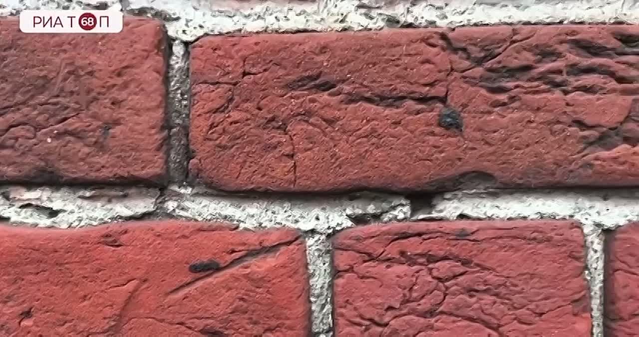 Лошади – это наследие и достояние Тамбовской земли