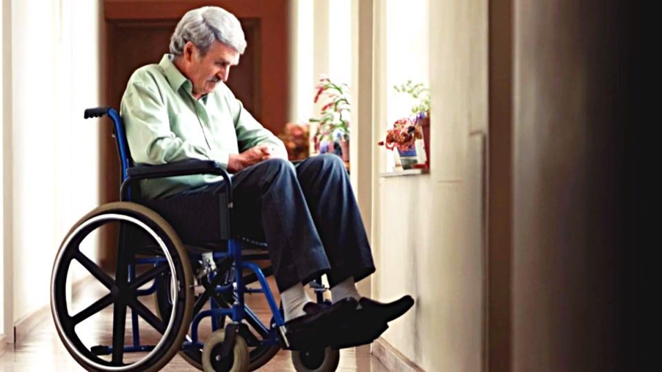 ����� ������ �� ������������ � 2026 ����