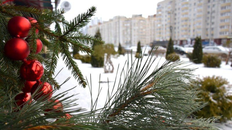 � ������� �������� ����� ����� ���������� ����