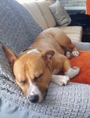 ���� �����: ������ ���� ���