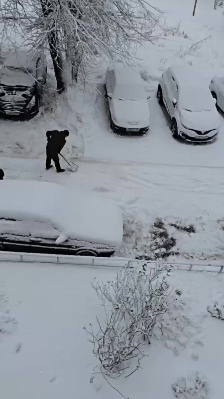 ���������� ������� � ������������� ������� ��������� � ����� ������