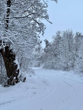 ������� ��������. ����� ���