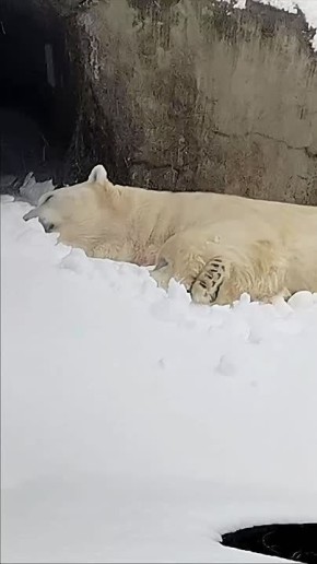 ���������� �� ��������� �������� �������� ����� ��, ��� � ������ � ���������� ��������