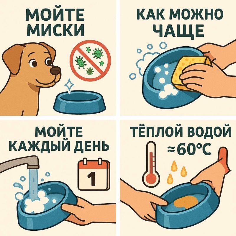 ������� ������� ��� �������� �����: ��� ���������� �������� �������