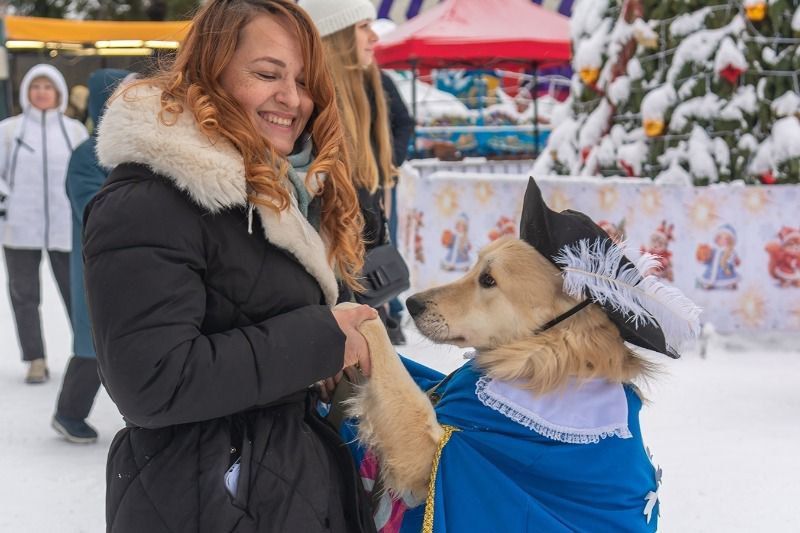 � ������� ������� ���������� ����� �������� ��������