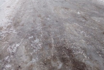 В Тамбове автомобилистов просят воздержаться от поездок